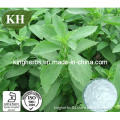 Stevia Extract Steviosides 80%, 90%, 95%, 98%